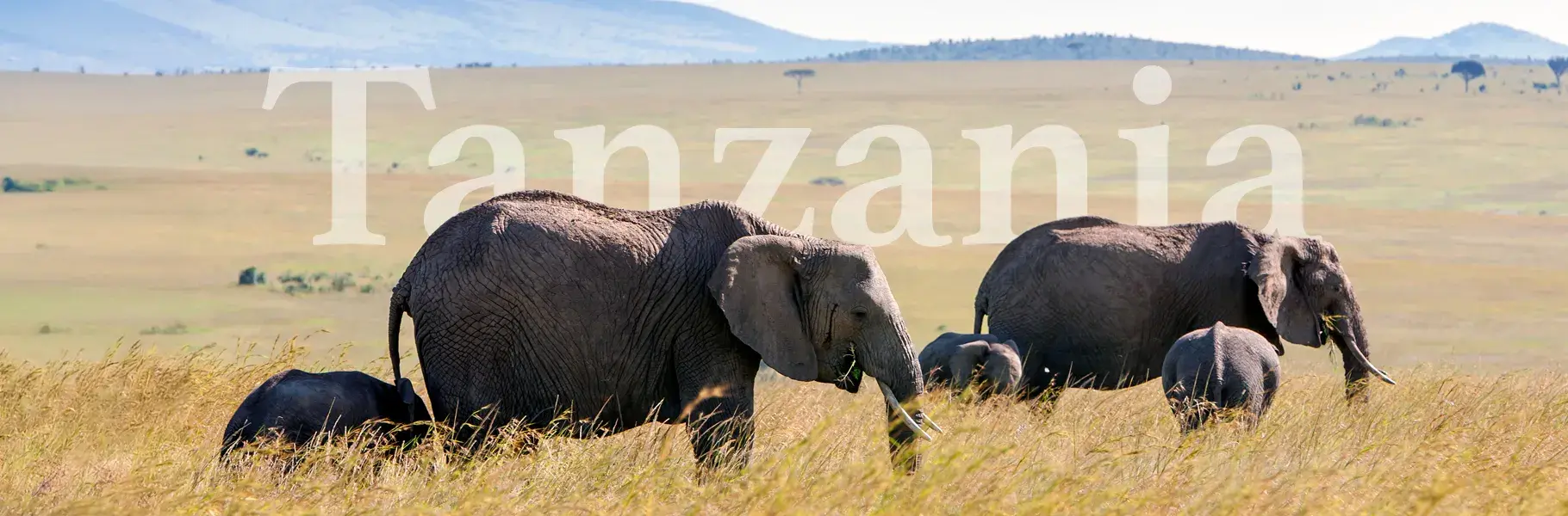 banner-PROXIMAS-SALIDAS-Tanzania
